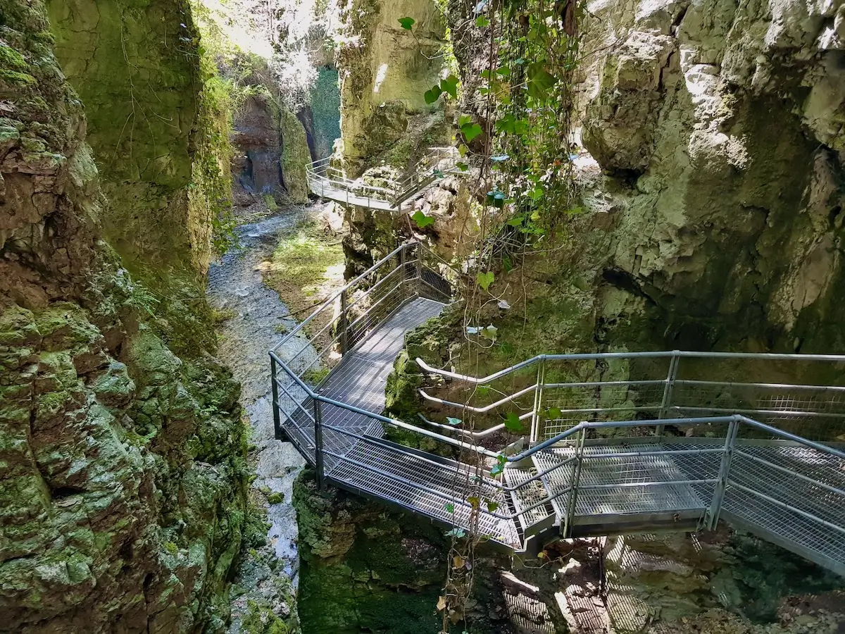 canyon rio sass