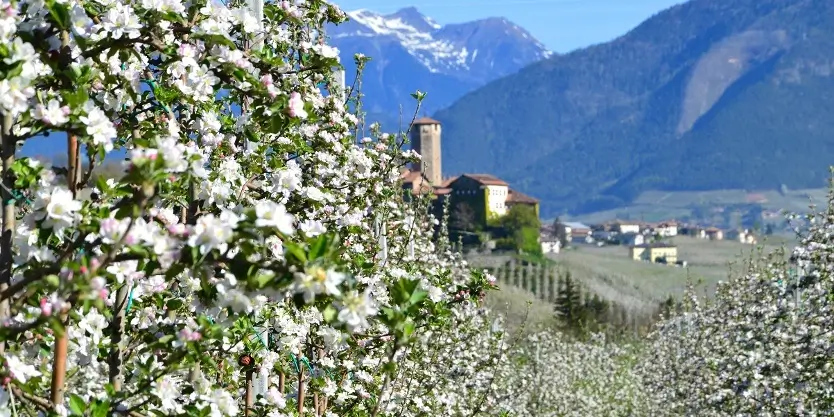 bike hotel trentino