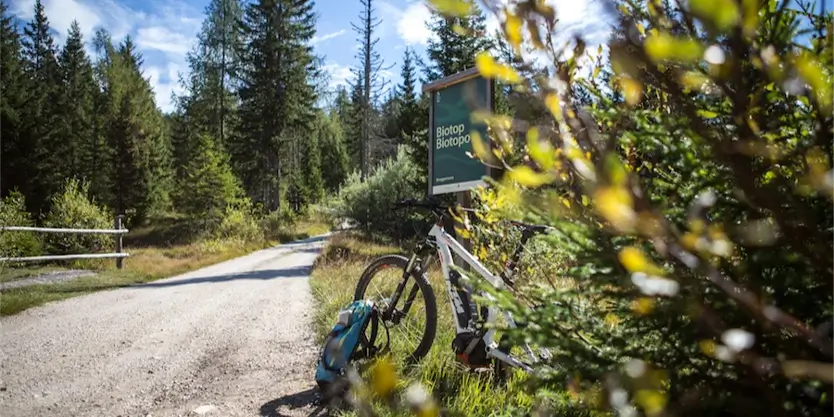 bike hotel trentino